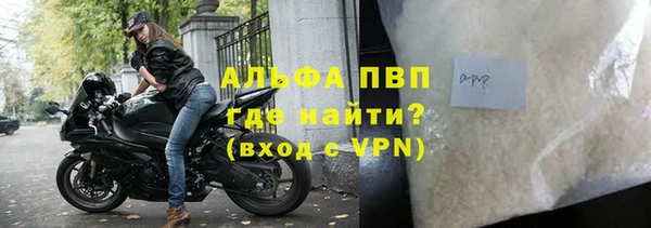 ПСИЛОЦИБИНОВЫЕ ГРИБЫ Бородино