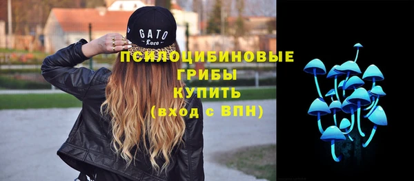 винт Бронницы