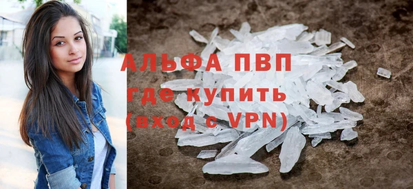 ПСИЛОЦИБИНОВЫЕ ГРИБЫ Бородино