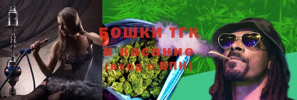 винт Бронницы